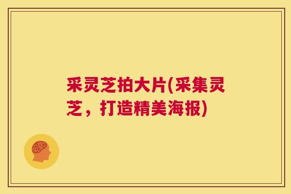 采灵芝拍大片(采集灵芝，打造精美海报)  第1张