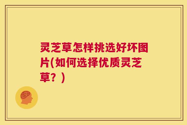 灵芝草怎样挑选好坏图片(如何选择优质灵芝草？)  第1张