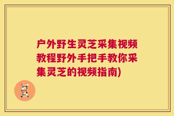 户外野生灵芝采集视频教程野外手把手教你采集灵芝的视频指南) 第1张 户外野生灵芝采集视频教程野外手把手教你采集灵芝的视频指南) 第1张
