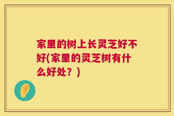 家里的树上长灵芝好不好(家里的灵芝树有什么好处？)  第1张