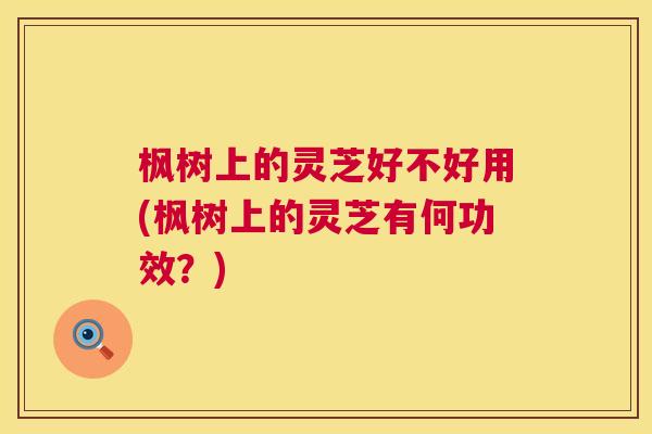 枫树上的灵芝好不好用(枫树上的灵芝有何功效?) 第1张 枫树上的灵芝好不好用(枫树上的灵芝有何功效?) 第1张