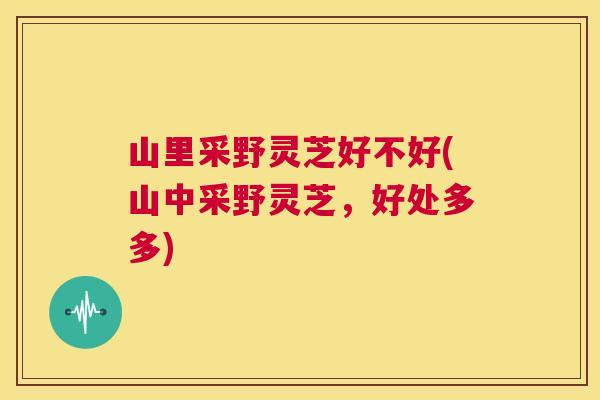 山里采野灵芝好不好(山中采野灵芝,好处多多) 第1张 山里采野灵芝好不好(山中采野灵芝,好处多多) 第1张