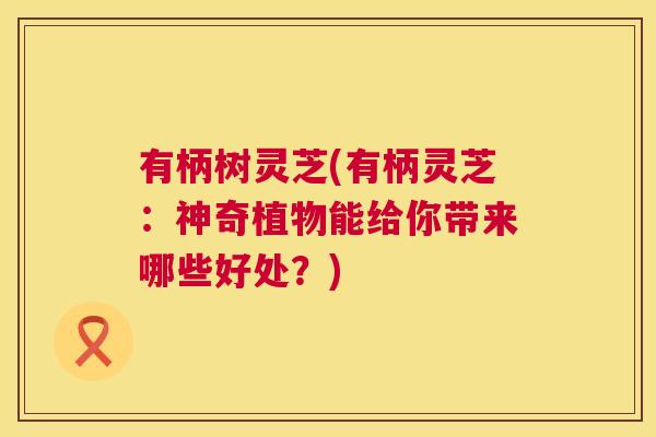 有柄树灵芝(有柄灵芝：神奇植物能给你带来哪些好处？)  第1张