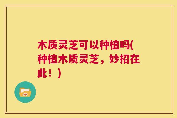 木质灵芝可以种植吗(种植木质灵芝,妙招在此!) 第1张 木质灵芝可以种植吗(种植木质灵芝,妙招在此!) 第1张