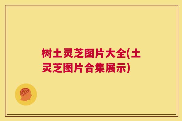 树土灵芝图片大全(土灵芝图片合集展示)  第1张