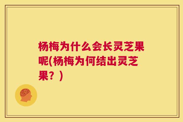 杨梅为什么会长灵芝果呢(杨梅为何结出灵芝果？)  第1张