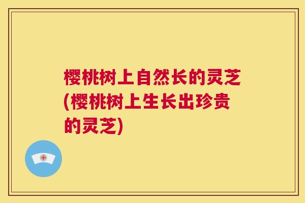 樱桃树上自然长的灵芝(樱桃树上生长出珍贵的灵芝)  第1张