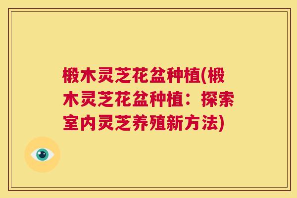 椴木灵芝花盆种植(椴木灵芝花盆种植:探索室内灵芝养殖新方法) 第1张 椴木灵芝花盆种植(椴木灵芝花盆种植:探索室内灵芝养殖新方法) 第1张