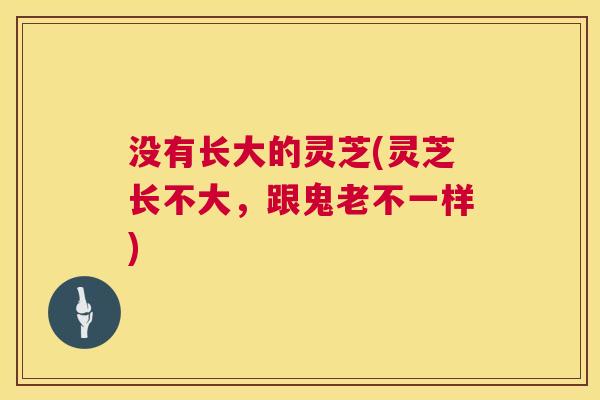 没有长大的灵芝(灵芝长不大，跟鬼老不一样)  第1张
