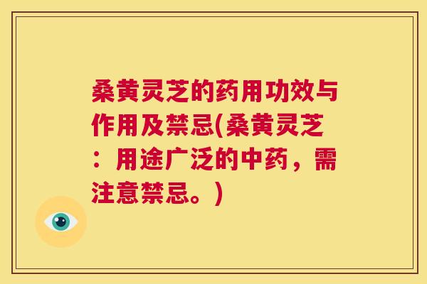 桑黄灵芝的药用功效与作用及禁忌(桑黄灵芝：用途广泛的中药，需注意禁忌。)  第1张