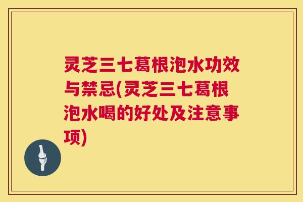 灵芝三七葛根泡水功效与禁忌(灵芝三七葛根泡水喝的好处及注意事项)  第1张