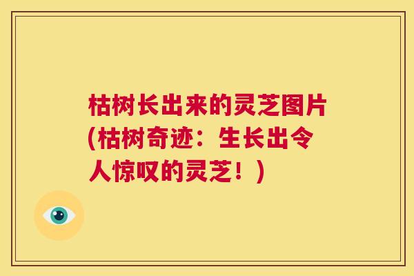 枯树长出来的灵芝图片(枯树奇迹:生长出令人惊叹的灵芝!) 第1张 枯树长出来的灵芝图片(枯树奇迹:生长出令人惊叹的灵芝!) 第1张