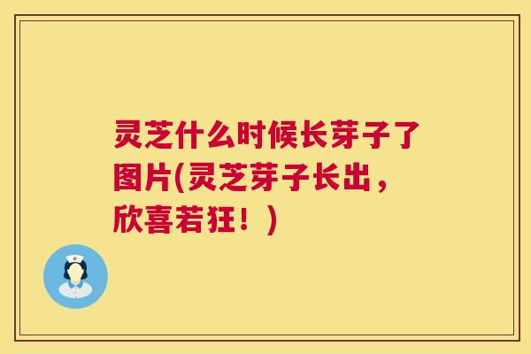 灵芝什么时候长芽子了图片(灵芝芽子长出,欣喜若狂!) 第1张 灵芝什么时候长芽子了图片(灵芝芽子长出,欣喜若狂!) 第1张