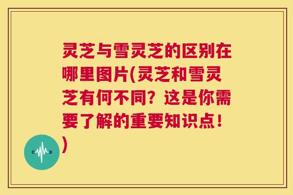 灵芝与雪灵芝的区别在哪里图片(灵芝和雪灵芝有何不同？这是你需要了解的重要知识点！)  第1张