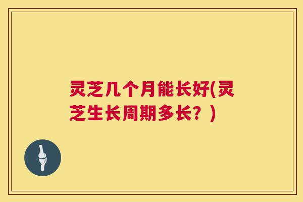 灵芝几个月能长好(灵芝生长周期多长?) 第1张 灵芝几个月能长好(灵芝生长周期多长?) 第1张