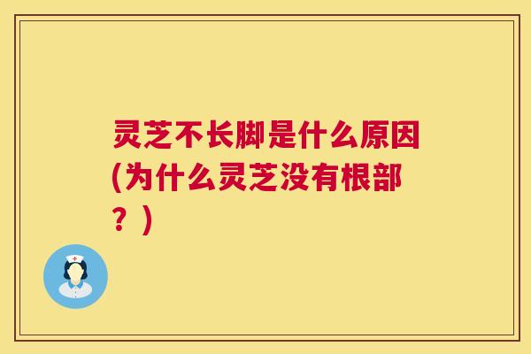 灵芝不长脚是什么原因(为什么灵芝没有根部?) 第1张 灵芝不长脚是什么原因(为什么灵芝没有根部?) 第1张