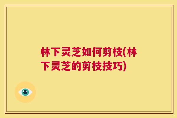 林下灵芝如何剪枝(林下灵芝的剪枝技巧) 第1张 林下灵芝如何剪枝(林下灵芝的剪枝技巧) 第1张