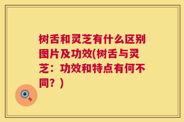树舌和灵芝有什么区别图片及功效(树舌与灵芝：功效和特点有何不同？)  第1张