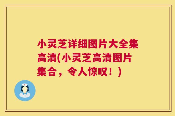 小灵芝详细图片大全集高清(小灵芝高清图片集合,令人惊叹!) 第1张 小灵芝详细图片大全集高清(小灵芝高清图片集合,令人惊叹!) 第1张