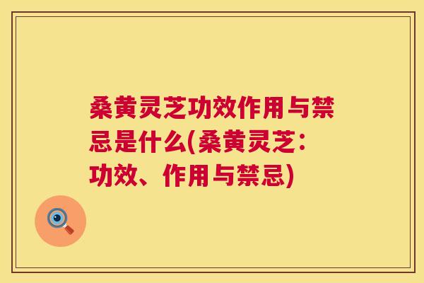 桑黄灵芝功效作用与禁忌是什么(桑黄灵芝:功效、作用与禁忌) 第1张 桑黄灵芝功效作用与禁忌是什么(桑黄灵芝:功效、作用与禁忌) 第1张