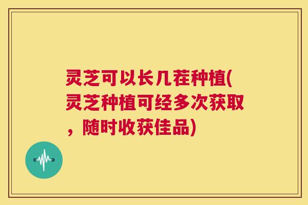 灵芝可以长几茬种植(灵芝种植可经多次获取，随时收获佳品)  第1张