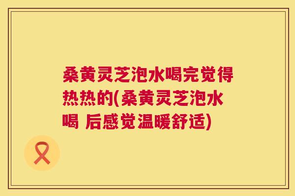 桑黄灵芝泡水喝完觉得热热的(桑黄灵芝泡水喝 后感觉温暖舒适)  第1张