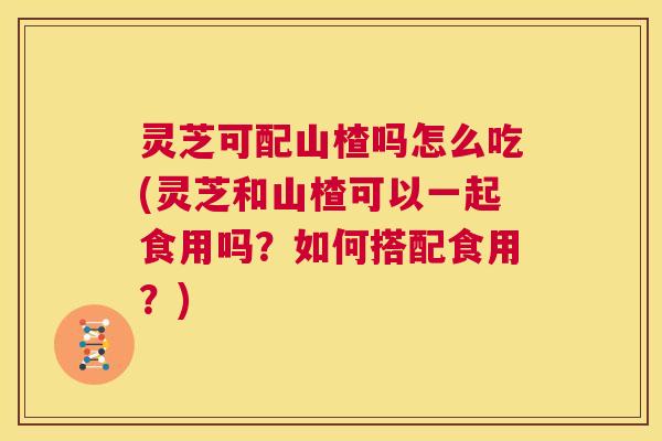 灵芝可配山楂吗怎么吃(灵芝和山楂可以一起食用吗?如何搭配食用?) 第1张 灵芝可配山楂吗怎么吃(灵芝和山楂可以一起食用吗?如何搭配食用?) 第1张