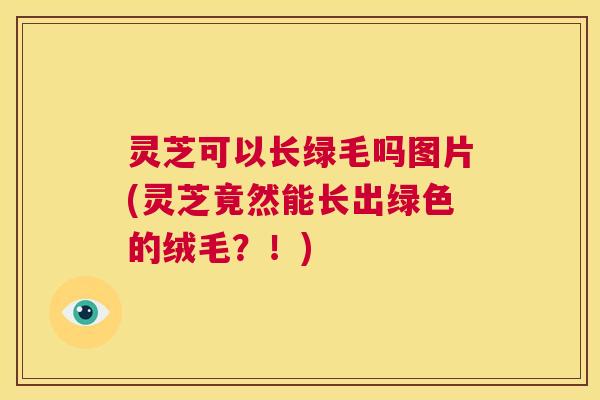 灵芝可以长绿毛吗图片(灵芝竟然能长出绿色的绒毛？！)  第1张