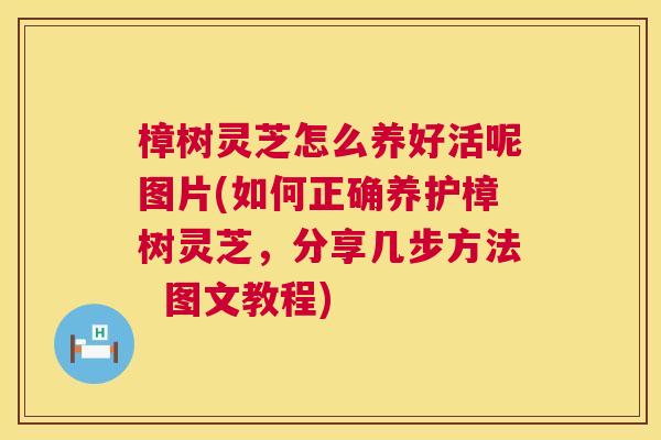 樟树灵芝怎么养好活呢图片(如何正确养护樟树灵芝，分享几步方法  图文教程) 第1张