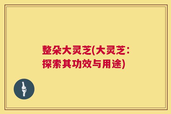 整朵大灵芝(大灵芝：探索其功效与用途)  第1张