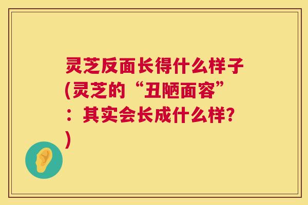 灵芝反面长得什么样子(灵芝的“丑陋面容”：其实会长成什么样？)  第1张