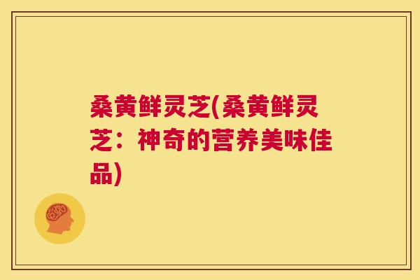 桑黄鲜灵芝(桑黄鲜灵芝：神奇的营养美味佳品)  第1张