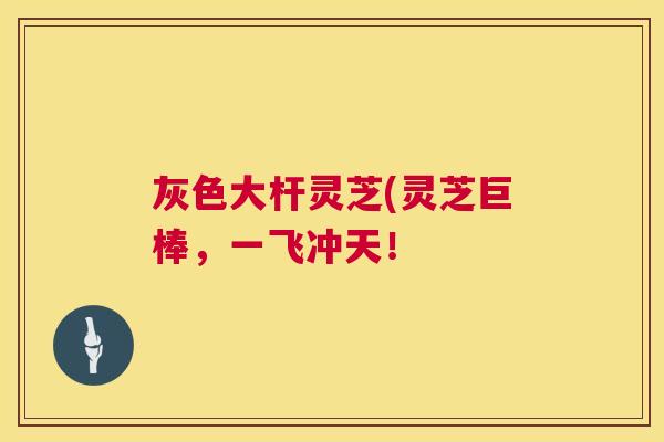 灰色大杆灵芝(灵芝巨棒，一飞冲天！  第1张