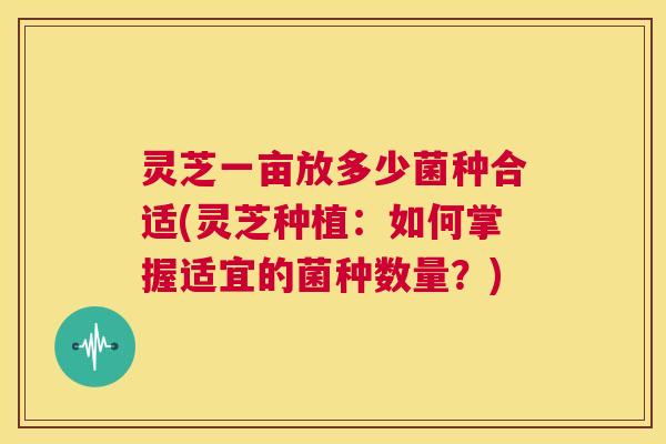 灵芝一亩放多少菌种合适(灵芝种植：如何掌握适宜的菌种数量？)  第1张