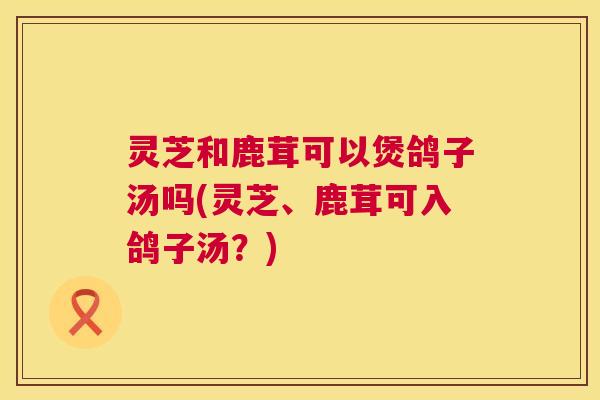 灵芝和鹿茸可以煲鸽子汤吗(灵芝、鹿茸可入鸽子汤？)  第1张