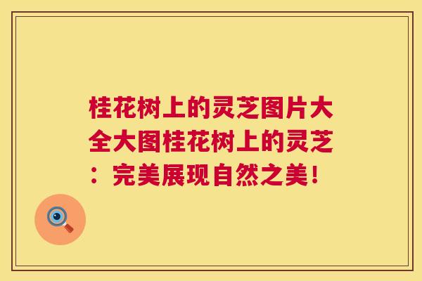 桂花树上的灵芝图片大全大图桂花树上的灵芝：完美展现自然之美！  第1张