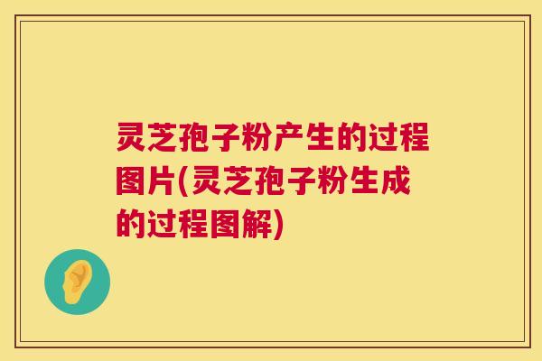 灵芝孢子粉产生的过程图片(灵芝孢子粉生成的过程图解)  第1张