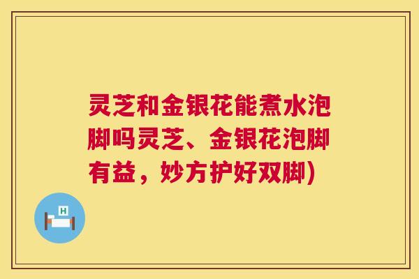 灵芝和金银花能煮水泡脚吗灵芝、金银花泡脚有益，妙方护好双脚)  第1张
