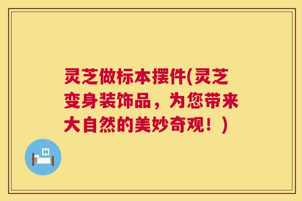 灵芝做标本摆件(灵芝变身装饰品，为您带来大自然的美妙奇观！)  第1张