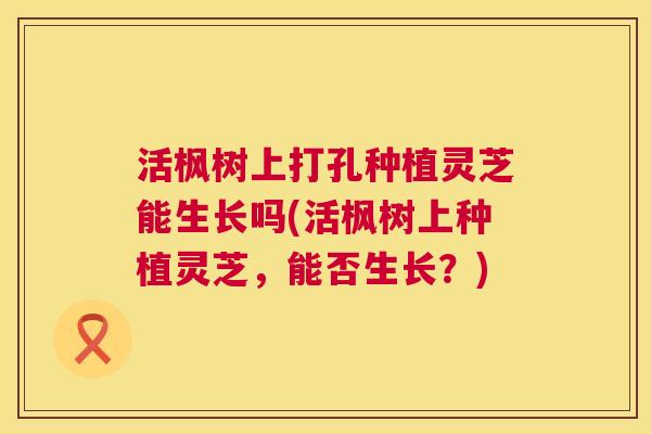 活枫树上打孔种植灵芝能生长吗(活枫树上种植灵芝，能否生长？)  第1张