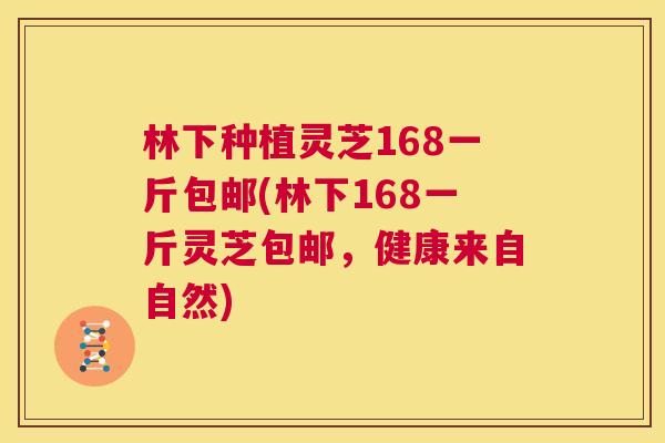 林下种植灵芝168一斤包邮(林下168一斤灵芝包邮，健康来自自然)  第1张