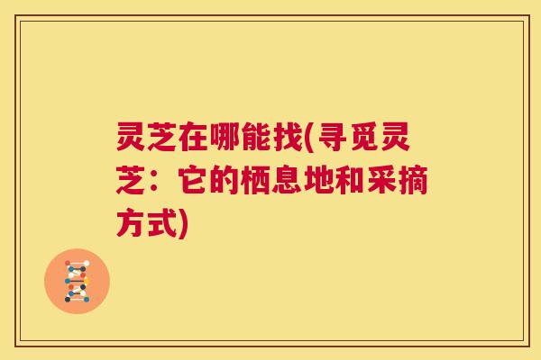 灵芝在哪能找(寻觅灵芝：它的栖息地和采摘方式)  第1张