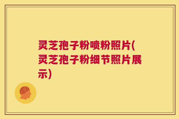 灵芝孢子粉喷粉照片(灵芝孢子粉细节照片展示) 第1张 灵芝孢子粉喷粉照片(灵芝孢子粉细节照片展示) 第1张