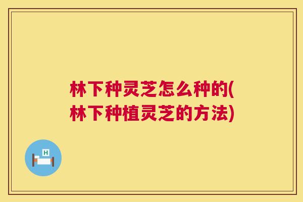 林下种灵芝怎么种的(林下种植灵芝的方法) 第1张 林下种灵芝怎么种的(林下种植灵芝的方法) 第1张