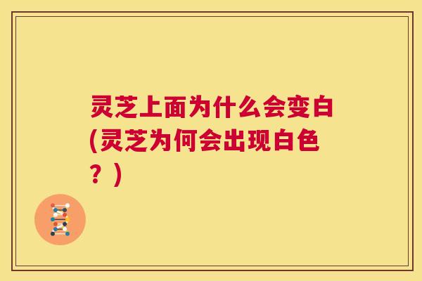 灵芝上面为什么会变白(灵芝为何会出现白色?) 第1张 灵芝上面为什么会变白(灵芝为何会出现白色?) 第1张