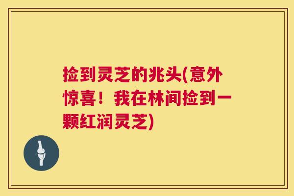 捡到灵芝的兆头(意外惊喜！我在林间捡到一颗红润灵芝)  第1张