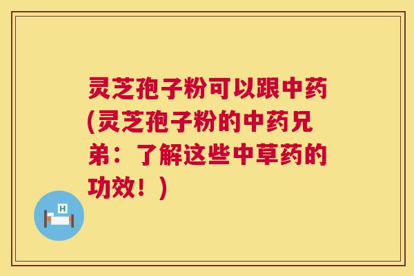 灵芝孢子粉可以跟中药(灵芝孢子粉的中药兄弟：了解这些中草药的功效！)  第1张