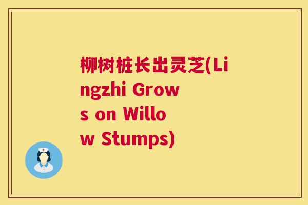 柳树桩长出灵芝(Lingzhi Grows on Willow Stumps)  第1张