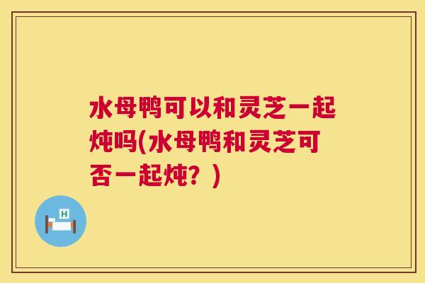 水母鸭可以和灵芝一起炖吗(水母鸭和灵芝可否一起炖？)  第1张