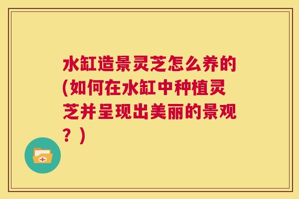 水缸造景灵芝怎么养的(如何在水缸中种植灵芝并呈现出美丽的景观？)  第1张